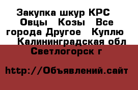 Закупка шкур КРС , Овцы , Козы - Все города Другое » Куплю   . Калининградская обл.,Светлогорск г.